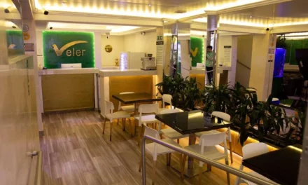 Hotel Veler