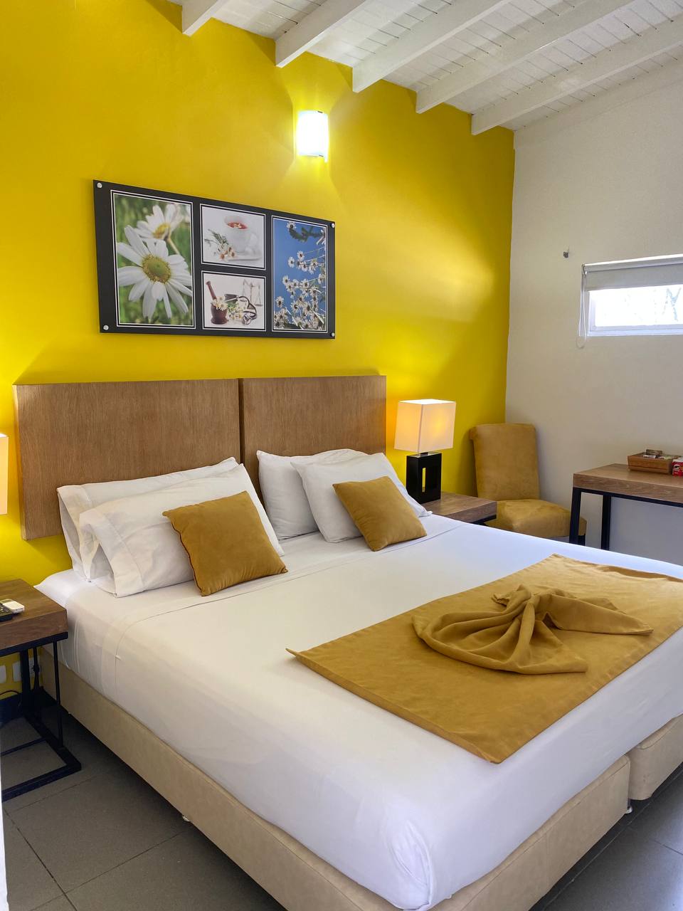 Hotel Aromax del Campestre 2