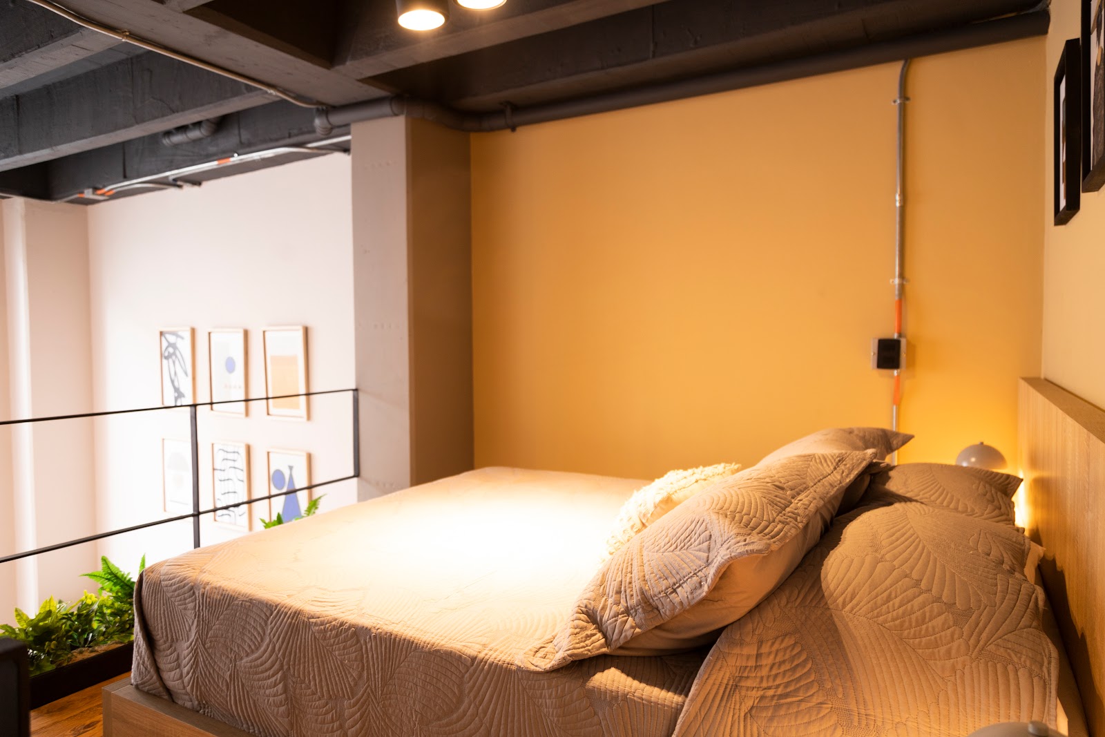 Royal Living Poblado 2